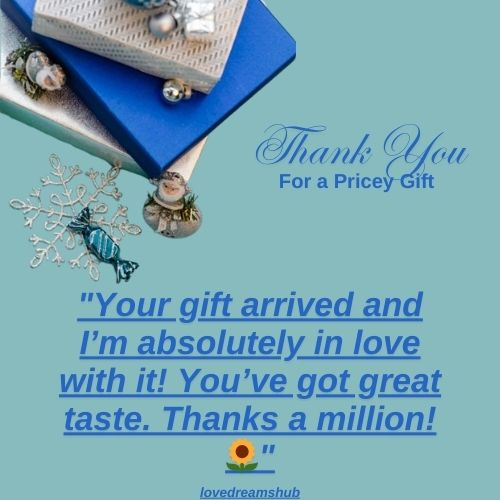 94+Ways to Say Thanks for a Pricey Gift