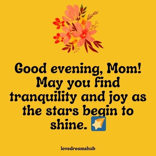 Warm Good Evening Messages for Mother