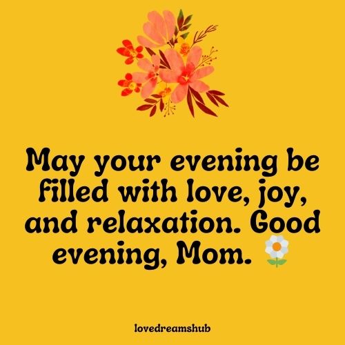 Warm Good Evening Messages for Mother