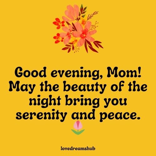 Warm Good Evening Messages for Mother