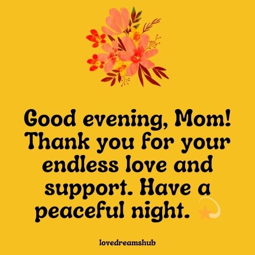 Warm Good Evening Messages for Mother