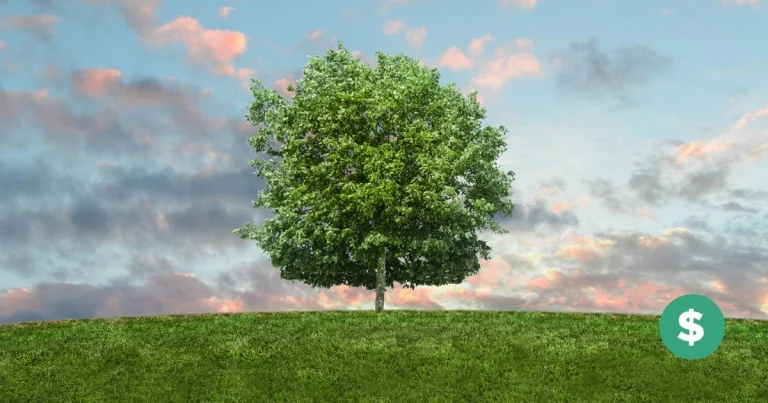 Eco-Friendly Living: A Sustainable Path Toward a Greener Future