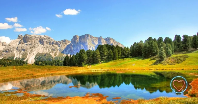 Understanding the Beauty and Importance of Nature