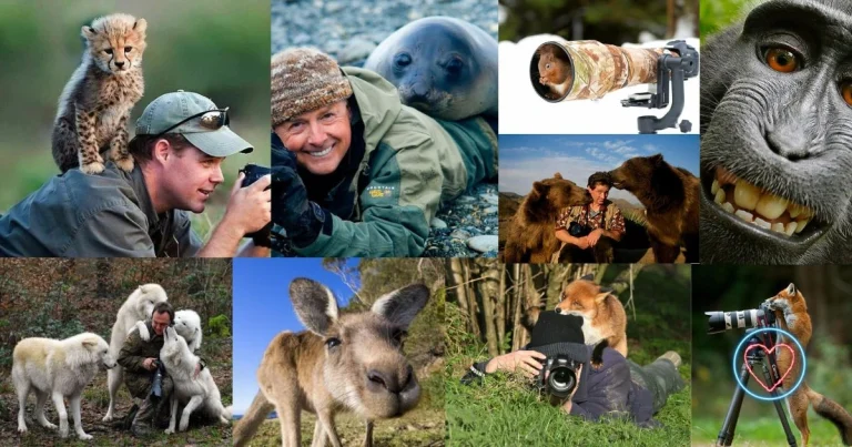15 Times Animals Didn’t Care About Your Perfect Shot